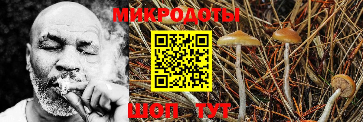Галлюциногенные грибы мухоморы  Псилоцибиновые грибы Psilocybine cubensis  Долгопрудный  Вход с VPN 