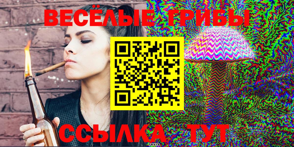 Псилоцибиновые грибы мицелий Долгопрудный